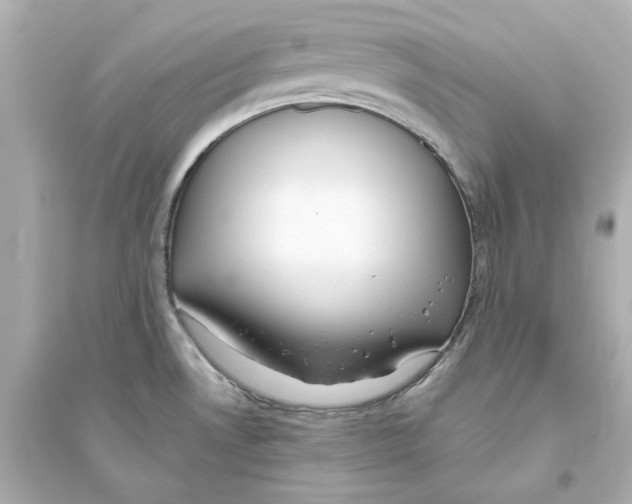X0000093611530200711121200