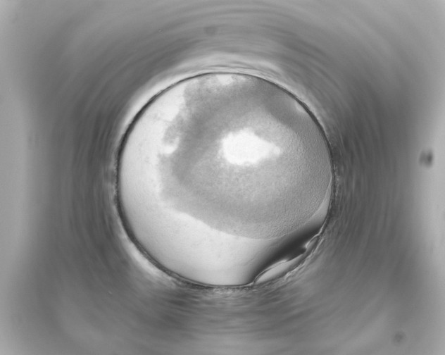 X0000093611531200711121200
