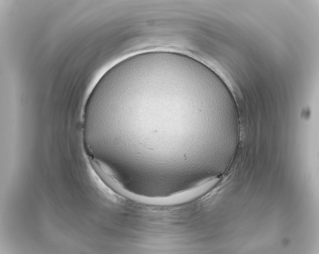 X0000093611532200711121200