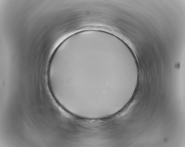 X0000093611533200711121200