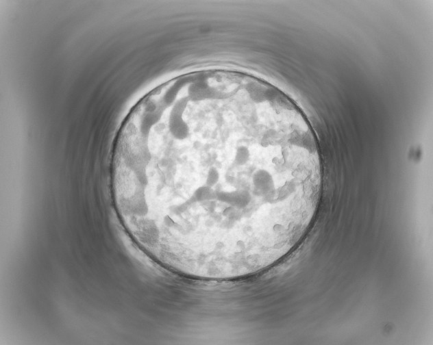 X0000093611534200711121200