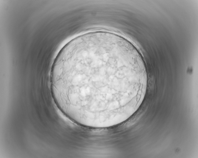X0000093611535200711121200