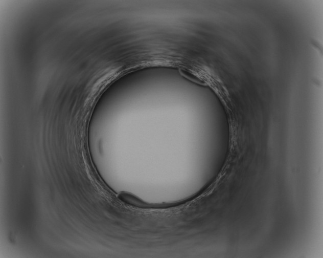 X0000093620001200710151049