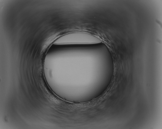 X0000093620005200710151049