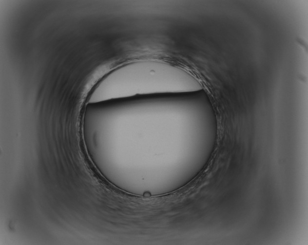 X0000093620006200710151049