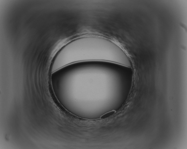 X0000093620007200710151049