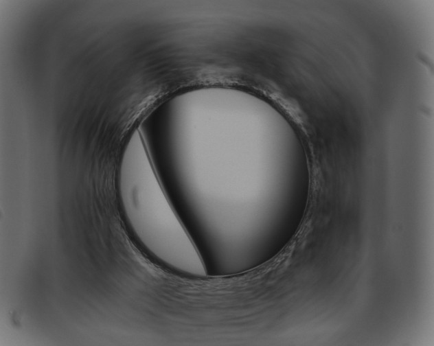 X0000093620009200710151049