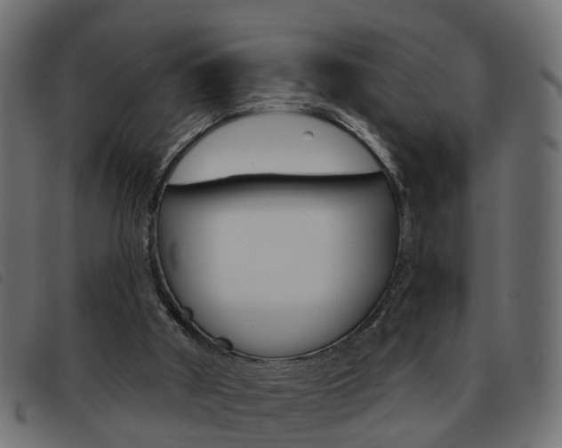 X0000093620010200710151049