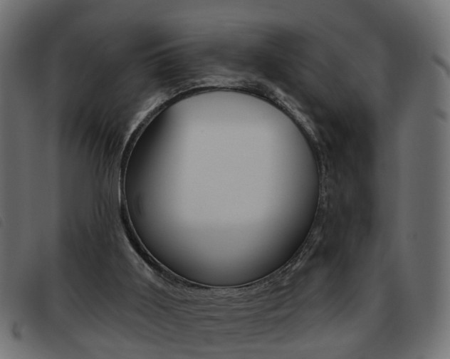 X0000093620011200710151049