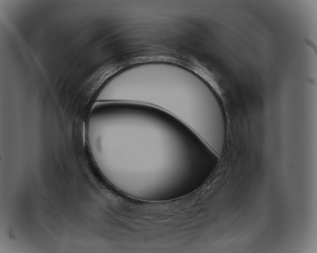 X0000093620013200710151049