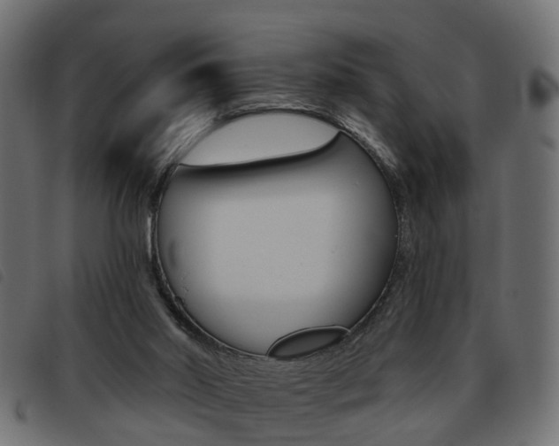 X0000093620014200710151049