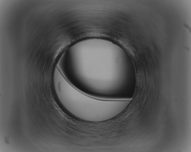 X0000093620015200710151049