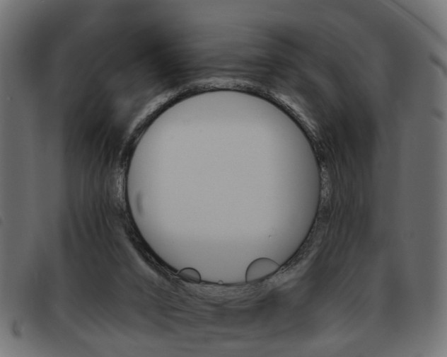 X0000093620016200710151049
