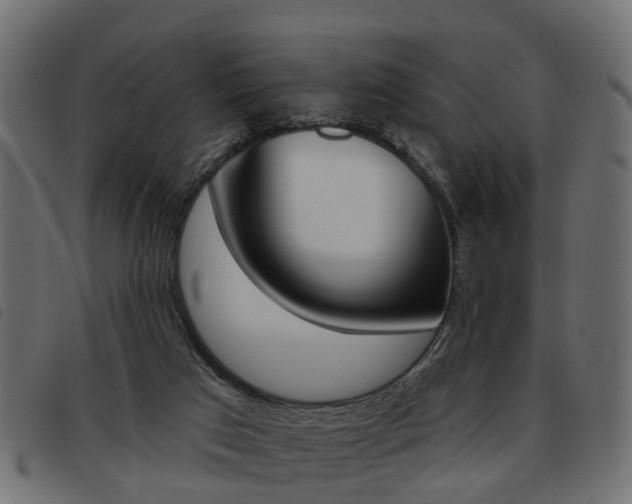 X0000093620017200710151049