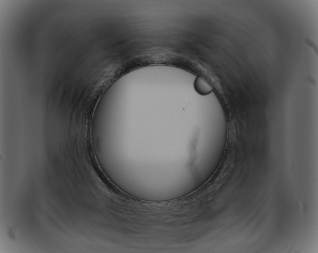 X0000093620018200710151049
