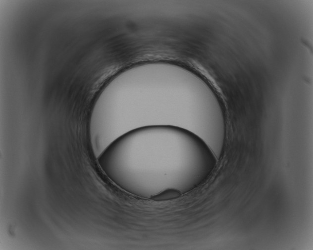 X0000093620019200710151049