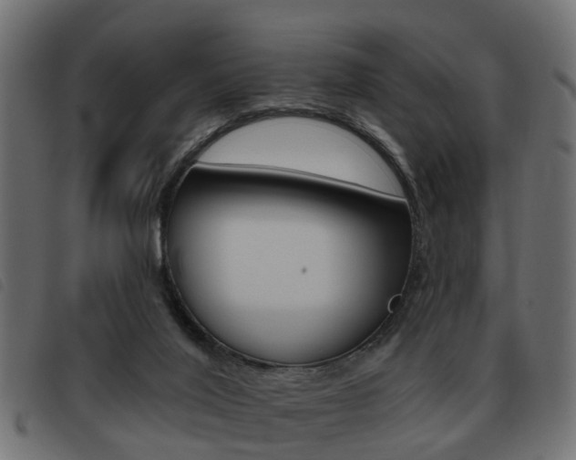 X0000093620020200710151049