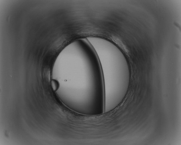 X0000093620021200710151049