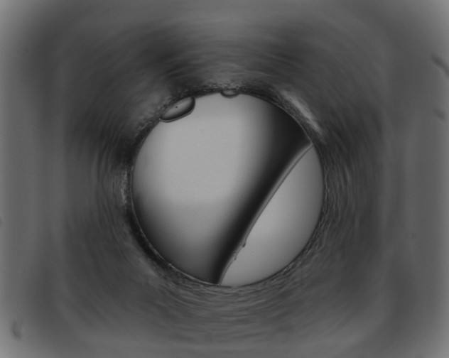 X0000093620023200710151049