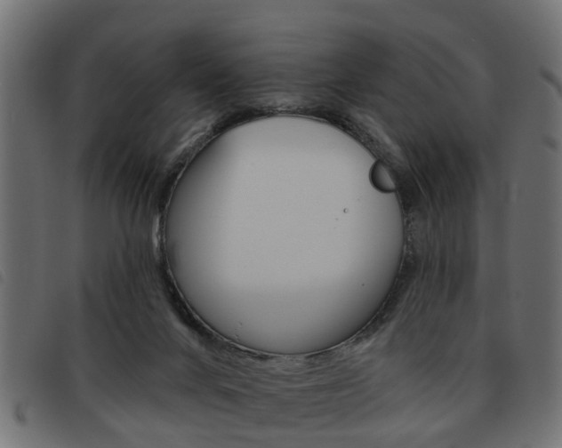 X0000093620024200710151049