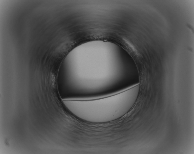 X0000093620025200710151049