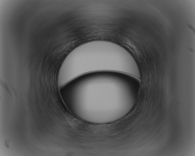 X0000093620029200710151049