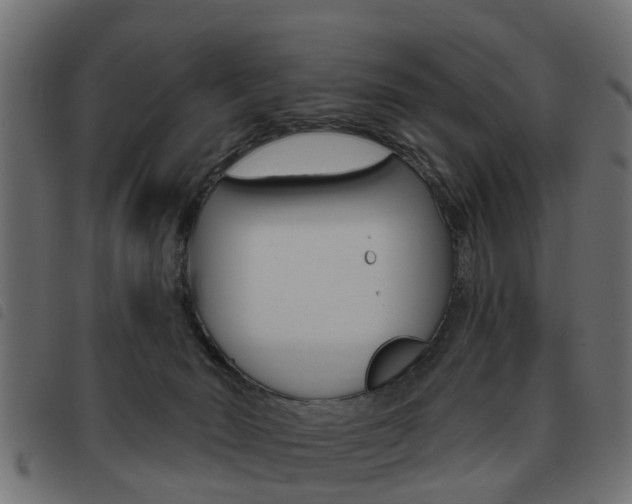 X0000093620030200710151049