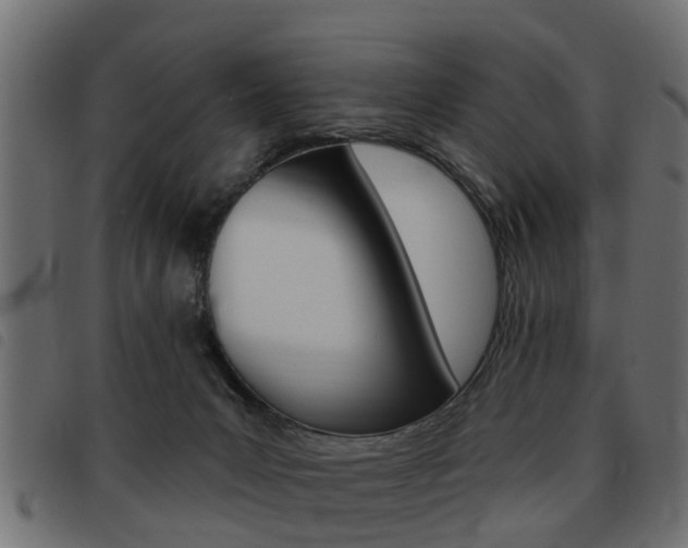 X0000093620031200710151049
