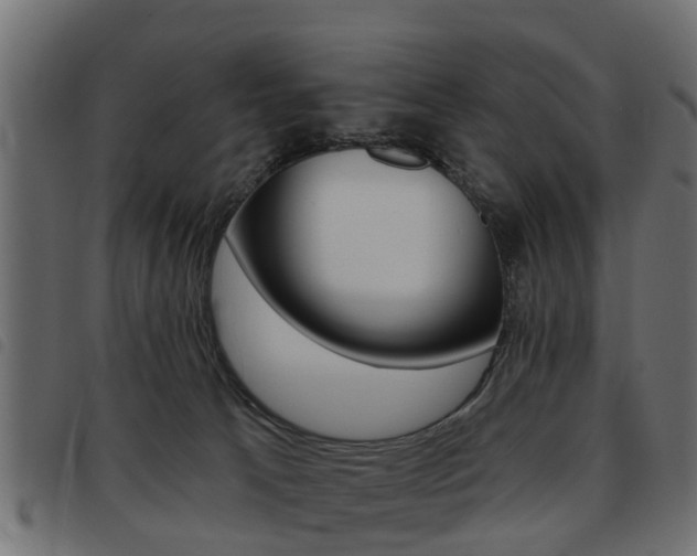 X0000093620033200710151049