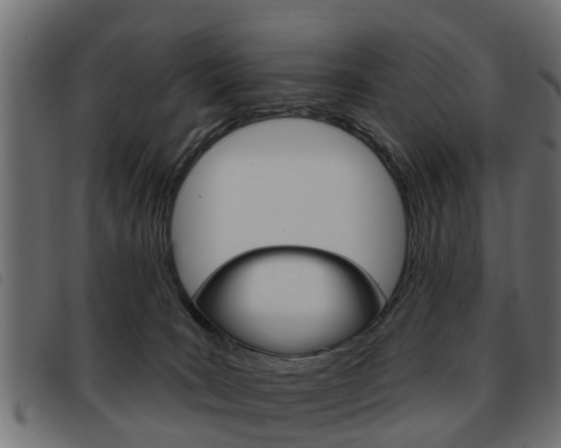 X0000093620035200710151049
