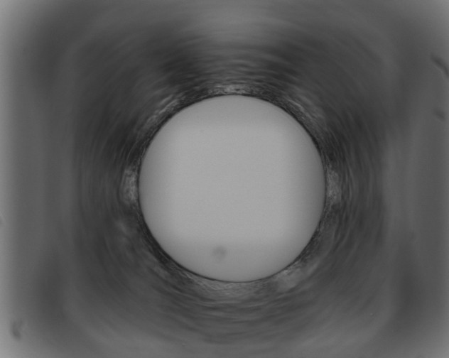 X0000093620036200710151049
