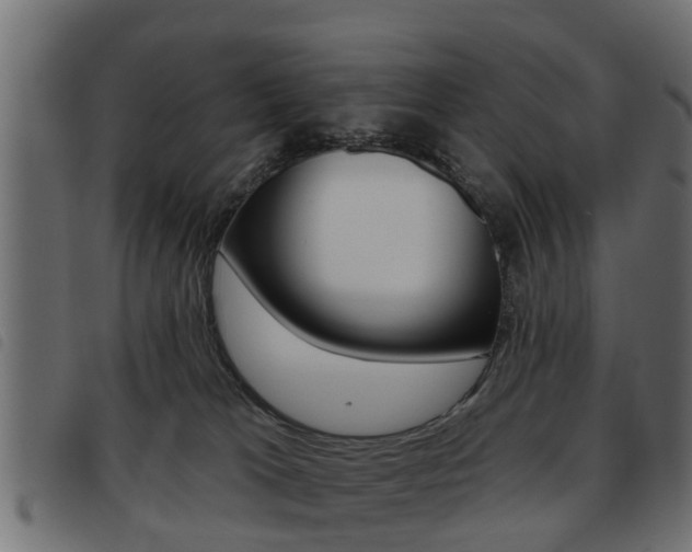 X0000093620037200710151049
