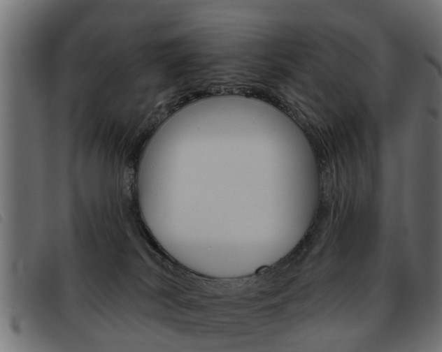 X0000093620038200710151049