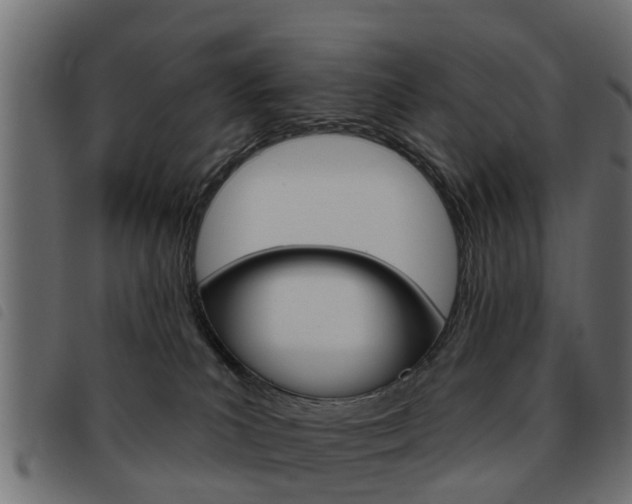 X0000093620039200710151049