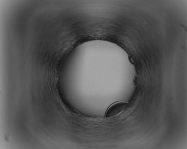 X0000093620040200710151049