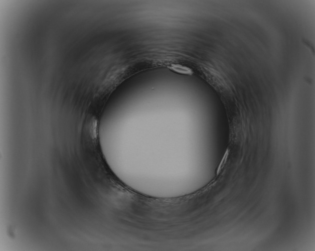 X0000093620041200710151049