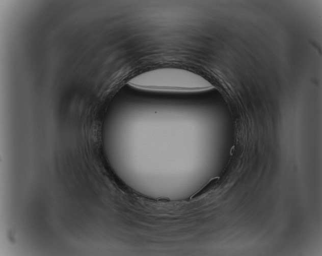 X0000093620044200710151049
