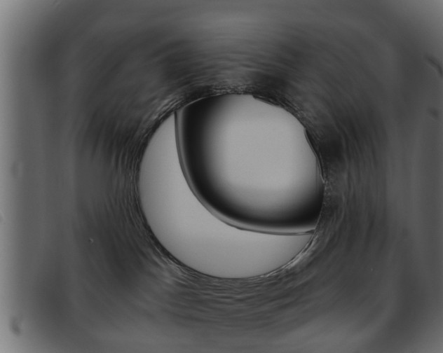 X0000093620045200710151049
