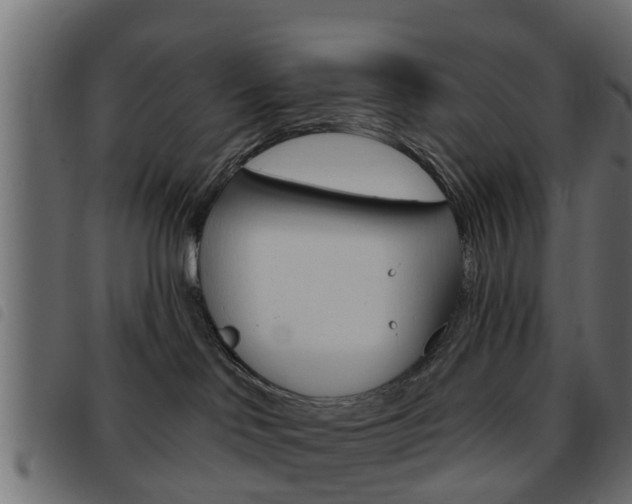 X0000093620046200710151049