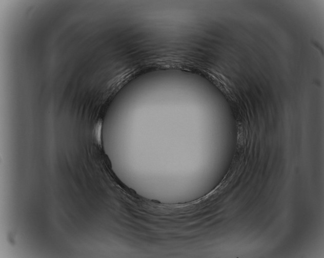 X0000093620047200710151049