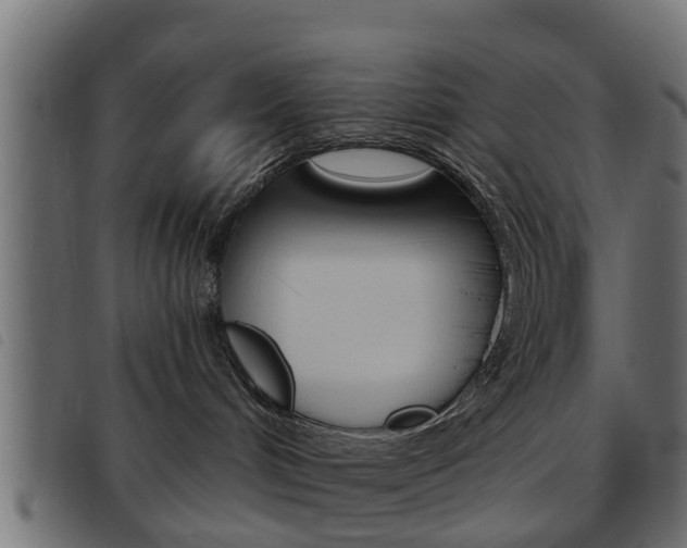 X0000093620048200710151049