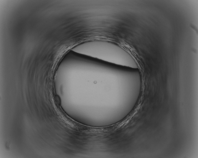 X0000093620049200710151048