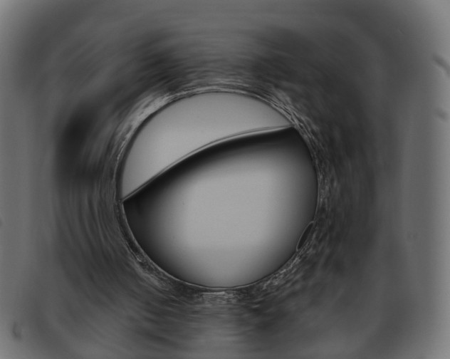 X0000093620050200710151048
