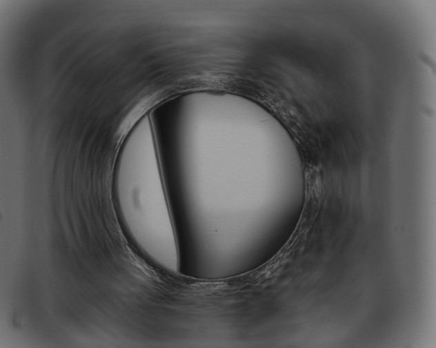 X0000093620051200710151048