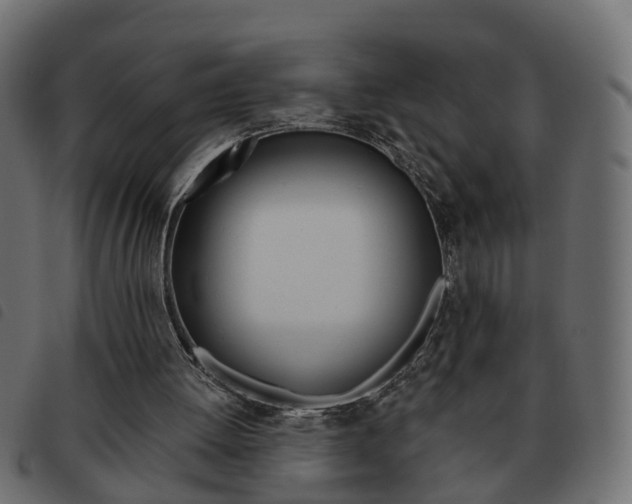 X0000093620052200710151048