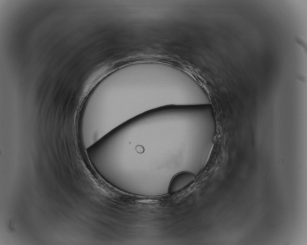 X0000093620053200710151048