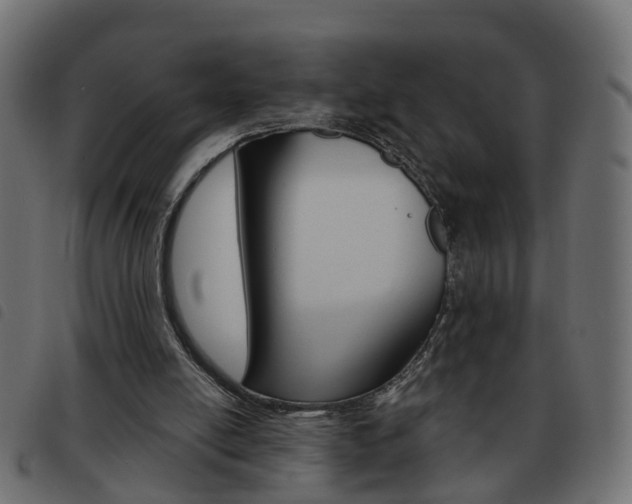 X0000093620054200710151048