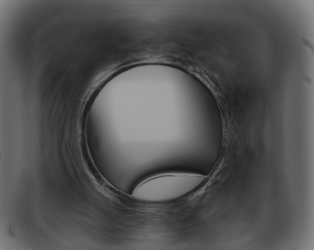 X0000093620055200710151048