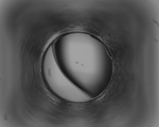 X0000093620056200710151048