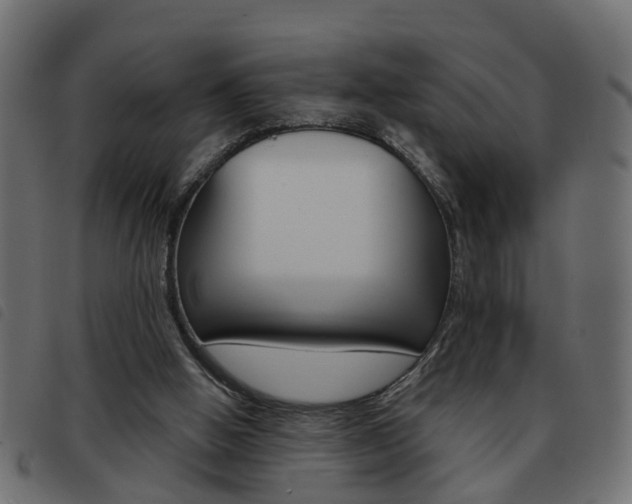 X0000093620058200710151048